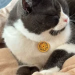 Red String Guardian Medallion Collar photo review