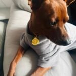 Red String Guardian Medallion Collar photo review
