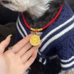 Red String Guardian Medallion Collar photo review