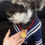 Red String Guardian Medallion Collar photo review