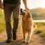 Dog symbolism representing loyalty protection and companionship