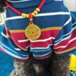 Red String Guardian Medallion Collar photo review